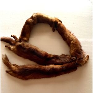 Vintage 50's Russet Brown 4 Minks Heads & Feet